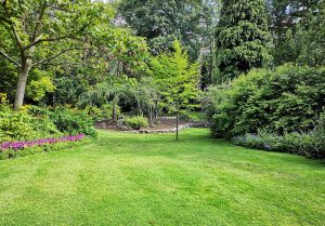 Optimiser l'expérience du jardin à Sion-les-Mines