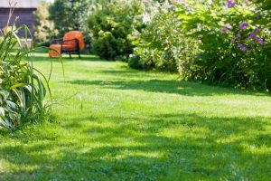 travaux jardin et paysage Sion-les-Mines